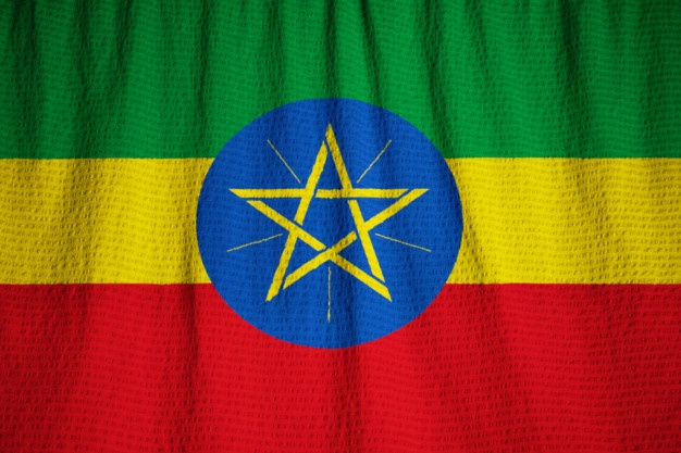 Certified Amharic translator Kāmoke