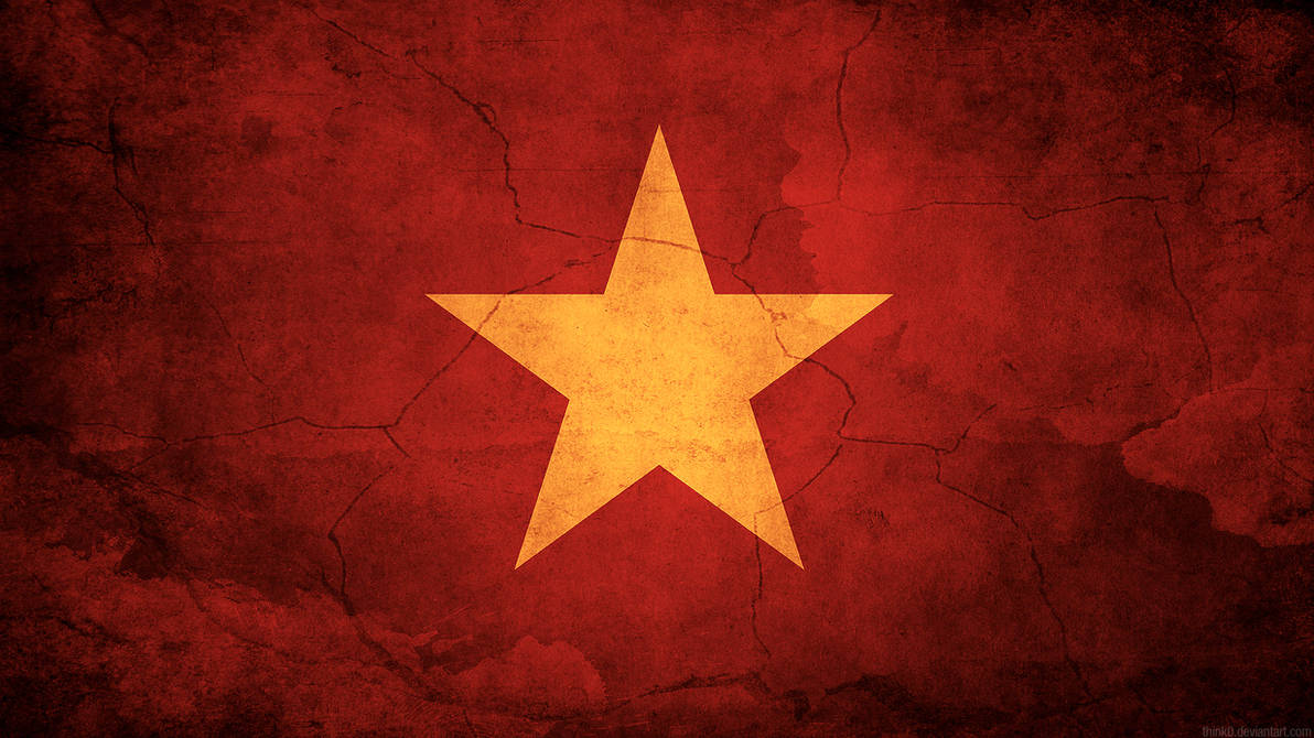 Certified Vietnamese translator Kāmoke